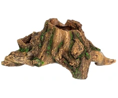 HOBBY akvariumo dekoracija – kelmas, 36 cm