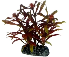 HOBBY Dirbtinė akvariumo augalo dekoracija 7 cm