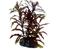 HOBBY Dirbtinė akvariumo augalo dekoracija, 13 cm