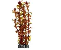 HOBBY Dirbtinė akvariumo augalų dekoracija „Rotala“, 30 cm