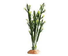 HOBBY „Euphorbia“ dekoracija terariumui
