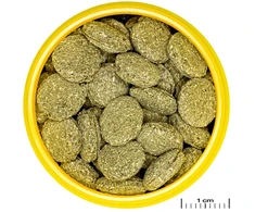 JBL ProNovo Pleco wafers 250 ml žuvims