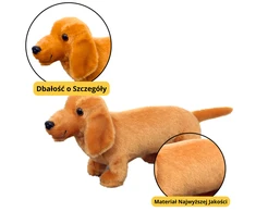 Lean Toys Pliušinis žaislas taksas 25cm