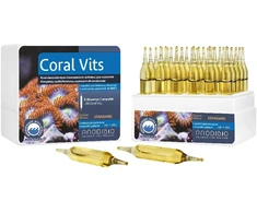 PRODIBIO Coral Vits koralų vitaminų ampulė