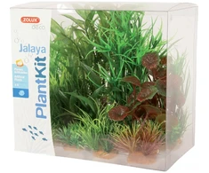 Zolux dekoratyvinis augalų rinkinys akvariumui Plantkit Jalaya modelis 2