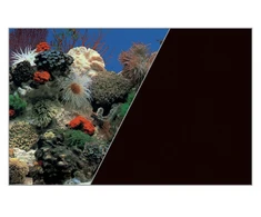 Zolux dvipusis akvariumo fonas su koralais, 60 × 120 cm, juodas