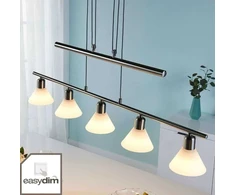 Eleasa LED pakabinamas šviestuvas, easydim 5 lempučių, nikelio