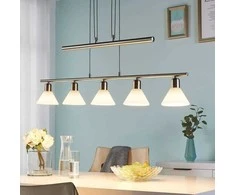Eleasa LED pakabinamas šviestuvas, easydim 5 lempučių, nikelio