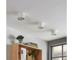 LED lubų prožektorius Mabel, apvalus, baltas