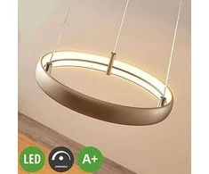 LED pakabinamas šviestuvas Risto nikelio, žiedo formos