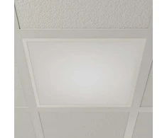 Šviesus LED skydelis Vinas, 62 cm