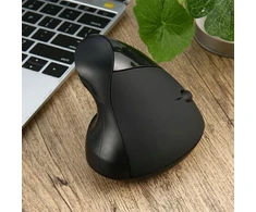 Gotel ergonominė belaidė vertikali optinė pelė, 1600 DPI