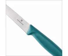 Victorinox Swiss Classic 6.7234.C1 dantyotas peilis kepsniams ir picai, žalias