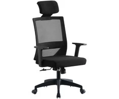Re Stock Furniture Ergonominė biuro kėdė „ErgoPlus“