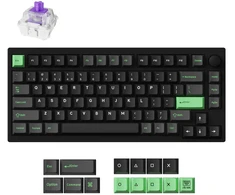 Klaviatūra Keychron Lemokey P1 Magnetinė Hall Effect (Juoda) - Gateron Double-Rail Magnetic Nebula Switches