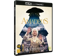 66 Amadėjus