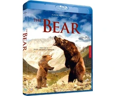 67 BEAR; THE BD - Tik pranešimas Dainos žodžiai prancūzų kalba - subtitrai DK-SE-NO-Fi kalbomis