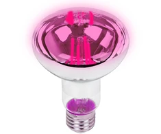 Blow E27 A60 LED 9W R80 lemputė augalų auginimui