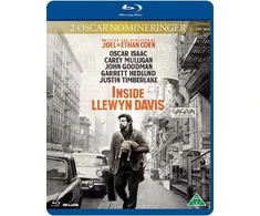 73 LLEWYN DAVIS VIDUJE