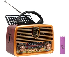 AM/FM BT BLOW RA10 nešiojamasis saulės analoginis radijas