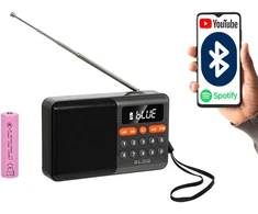 Nešiojamasis analoginis AM/FM radijas BT BLOW RA18