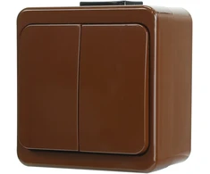 Łącznik Dvigubas jungiklis 10A, 250V, IP44, SMART, rudas