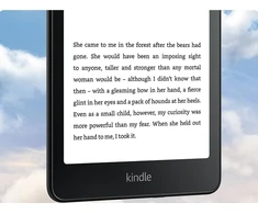 „Amazon“ – „Kindle Paperwhite 7“, 12 kartos – 16 GB – versija be papildomų funkcijų