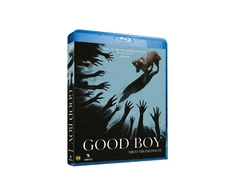 ANGEL GERAS BERNIUKAS - (Blu-Ray)