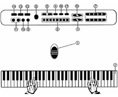 ATL Pianinas Su Mikrofonu