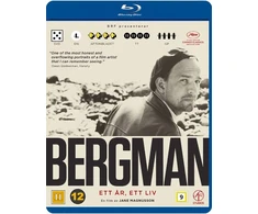 Bergmanas – vieneri metai, vienas gyvenimas