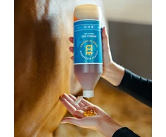 Biofarmab - Arnika Liniment Gel - 1L