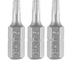Bity Torx antgaliai T15 x 25 mm, 3 vnt.