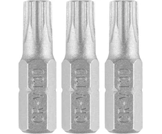 Bity Torx antgaliai T30 x 25 mm, 3 vnt.