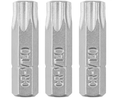 Bity Torx antgaliai T40 x 25 mm, 3 vnt.