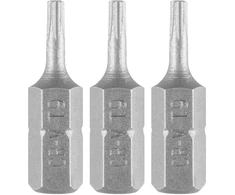 Bity Torx antgaliai T9 x 25 mm, 3 vnt.