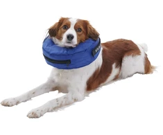BUSTER - Pripučiamas antkaklis - XXL - Nailoninė mėlyna (279734)
