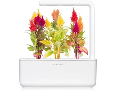 Click Grow „Click and Grow“ – išmaniojo sodo papildymo rinkinys, 3 vnt. skiauterės formos
