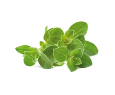 Click Grow „Click and Grow“ – išmaniojo sodo papildymas, 3 raudonėlių pakuotė