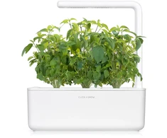 Click Grow „Click and Grow“ – „Smart Garden“ papildymas, 3 vnt. Tailando bazilikų