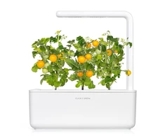 Click Grow „Click and Grow“ – „Smart Garden“ papildymas, 3 geltonų pomidorų pakuotė