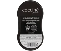 Batų blizgiklis su kempine be spalvos, Coccine