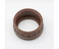 Dedra Guminis guolio dangtis