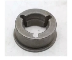 Dedra Guolio korpusas