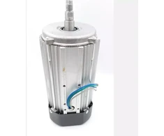 Dedra Silnik elektrinis 800w