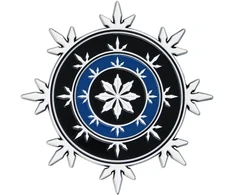 Fanatik „Dungeons Dragons“ riboto leidimo „Neverwinter“ heraldikos medalionas