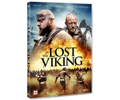 Dingęs vikingas