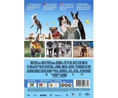 Doggy Style (dar žinomas kaip Strays) Will Ferrell ir Jamie Foxx