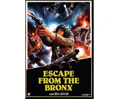 DVD „Pabėgimas iš Bronkso“