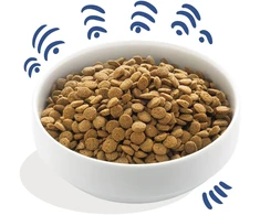 Edgard Cooper - Šviežia norvegiška lašiša - 2,5kg (542503948505)