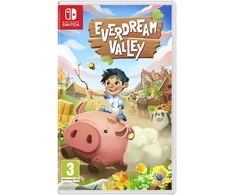 Everdream slėnis – Nintendo jungiklis